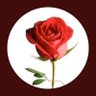 rahulsngh's profile picture