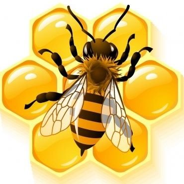 Дикі бжели's profile picture