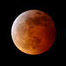 MoonGlo profil fotoğrafı