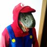 Profilbild von agonialex