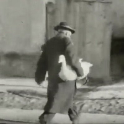 devilstrillblog's profile picture