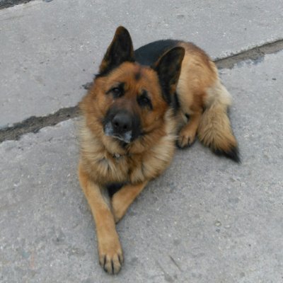 korefankorefan's profile picture