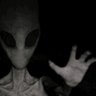 g©'s profile picture