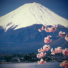 ヤマト ヒノモト profil fotoğrafı