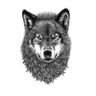 𝕎𝕠𝕝𝕗𝕘𝕒𝕟𝕘 ℕ𝕖𝕝'𝕤🌐's profile picture