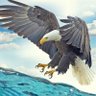 metin's profile picture