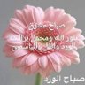 Фото профиля ابو. احمد