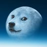 XBT To The Moon's profile picture