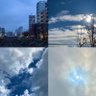 ふじまいらいふ profil fotoğrafı