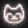 Фото профиля NeonCat