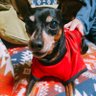 Tamachan's profile picture