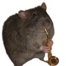 Pollo's profile picture