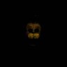 Profilbild von 8-BitLogan