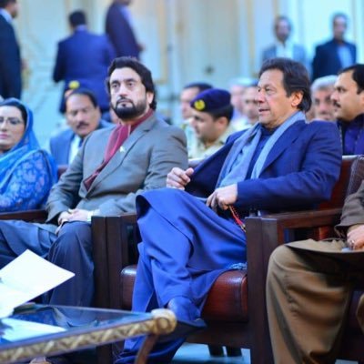 Shehryar Afridi's profile picture