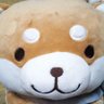 メリーさん 的头像