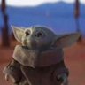 DPK21's profile picture