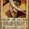 KaiserWhitebeard profil fotoğrafı