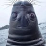 Andy S profil fotoğrafı