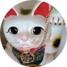 ヒスパパ 3ニャンコに's profile picture
