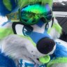 Фото профиля 💚💙RAD Husky 💙💚🔜 DenFur / FC