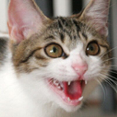 ファーレイ株式会社's profile picture