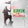 Stand with the Kurds profil fotoğrafı