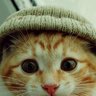 Котикабармотик profil fotoğrafı
