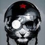 evandcs's profile picture