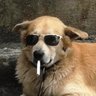 Profilbild von JR