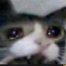 Profilbild von Meuhayt