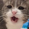 Profilbild von Bean (and Mara)