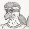 Osprey Hawk's profile picture