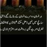 Ans Ali Hassan's profile picture