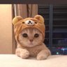æç¹'s profile picture