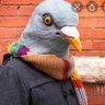 Profilbild von augustin blud