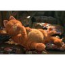 Фото профиля Garfield