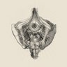 Фото профиля dtrujillop