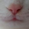 RIKOSAKU 的头像