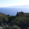 MossA 🇬🇷☦️👨👩👧👦☘ profil fotoğrafı