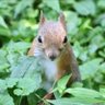 どきちゃん 的头像