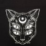 A louca dos gatos's profile picture