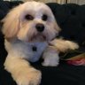 Profilbild von marty6