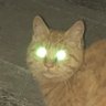 りいち 的头像