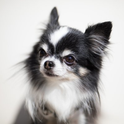 shota201907's profile picture