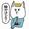 ぬこ神's profile picture