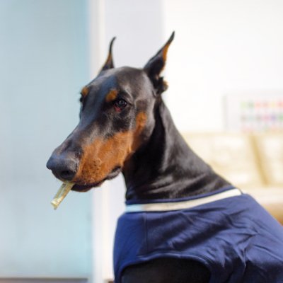 𝘁𝗮𝗿𝗲𝘀𝗸𝘆's profile picture
