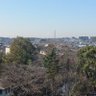 ザラキと粗目の病みのイージス 的头像