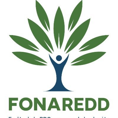 fonaredd's profile picture