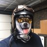 🇺🇦⛵️Безмежно синя далечінь's profile picture
