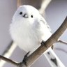 ななしにん profil fotoğrafı